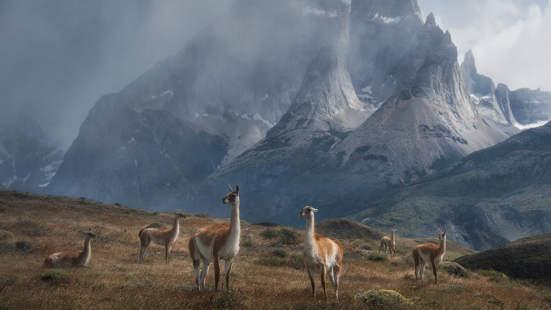 九游体育-曼城硬仗取胜阿根廷，迪马利亚成为关键先生